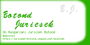 botond juricsek business card